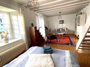 a bedroom with a bed and a living room at 3 bedrooms house with terrace and wifi at Chavornay in Chavornay