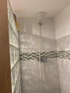 La salle de bains est pourvue d'une douche avec un pommeau de douche. dans l'établissement Chambre Sayulita/Spa/piscine, à Idron