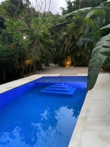 a blue swimming pool in a yard with trees at Nahele Lodge in Santa Teresa Beach