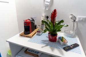a white counter with a plant in a vase on it at B&b Anna's home in Marina di Camerota