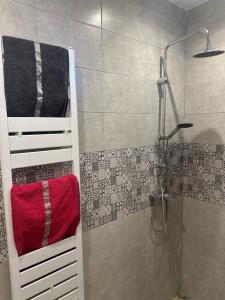 a bathroom with a shower with a red towel at La deuxième perla sidi bou said in Sidi Bou Saïd