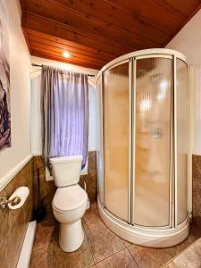 サン・ドナ・ド・モントカームにあるLa Tanière - Retraite en nature avec foyer au boisのバスルーム(トイレ、シャワー付)