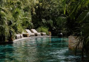 una piscina con sedie a sdraio e sedie in un resort di Hotel Bardo - Adults Only a Tulum