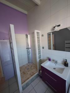 ein Bad mit einer Dusche, einem Waschbecken und einem WC in der Unterkunft Chez Claudia et Serge in Vernègues
