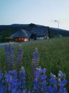 una casa en un campo con flores púrpuras en primer plano en Útulna Craft - penzion Veronika, en Pec pod Sněžkou