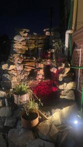 a stone wall with potted plants on it at Mums Homestay & Apartment in Kathmandu