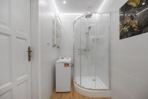 a bathroom with a shower with a glass door at Sunset Apartaments - Sunflower i Panorama in Toruń +50 photos