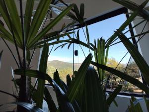 山景或在木屋看到的山景