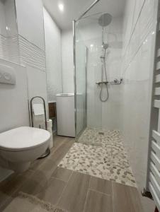 a white bathroom with a shower and a toilet at Appartement 2 pièces RDC in Rambouillet