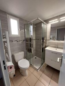 a bathroom with a toilet and a shower and a sink at Charmante Maison a 250 m de la Mer in Sainte-Marie-la-Mer
