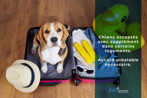 a dog is sitting inside of a suitcase at Résid'Azur in Saint-Jean-de-Monts