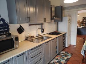 a kitchen with gray cabinets and a sink and a microwave at Da Carlotta in Castel di Sangro