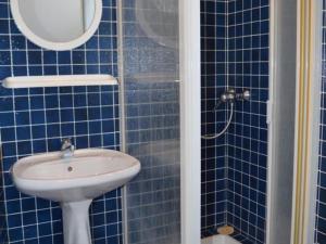 ヴーヴレにあるGîte Vouvray, 3 pièces, 4 personnes - FR-1-381-167の青いタイル張りのバスルーム(シンク、シャワー付)