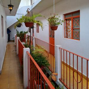un couloir avec des plantes en pot sur une maison dans l'établissement Hotel Ana Liz, à Puerto Vallarta