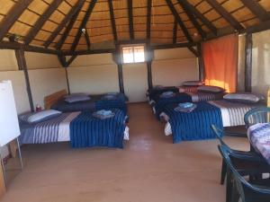 a group of four beds in a room at Bremen Guestfarm in Grünau