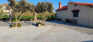 a group of trees in a courtyard next to a house at ΤΟ ΕΞΟΧΙΚΟ in Thános +1 photo