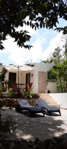 Galería fotográfica de Viila Ixchel jungle pool en Tulum 6 fotos más