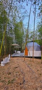 a swing set in a forest with a tent at Glamping y Cabañas Alpina in Buga