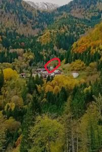 een rood huis midden in een bos bij Ronchet Baita Vanoi Trentino in Ronco