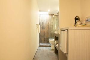 La salle de bains est pourvue d'une douche, de toilettes et d'un lavabo. dans l'établissement Hotel Monumental, à Aguascalientes