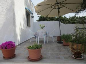 Zahrada ubytování VILLA LUCIA