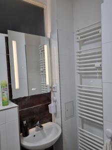 a bathroom with a sink and a mirror and a shower at Wohnung in Berliner Innenstadt in Berlin