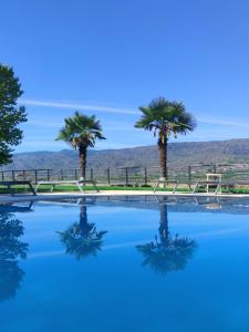 una piscina con palmeras en el fondo en Quinta da Terrincha, en Torre de Moncorvo