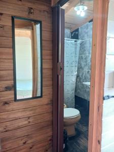La salle de bains est pourvue de toilettes et d'un miroir. dans l'établissement Cabaña enero soleado, à Tigre
