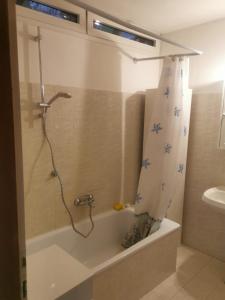 a bathroom with a bath tub with a shower curtain at Casa Viarago in Pergine Valsugana +4 photos