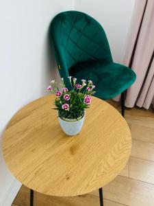 a green chair and a table with a potted plant on it at Iris Apartment in Piatra Neamţ