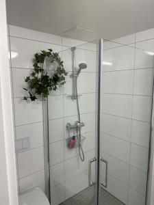 uma casa de banho com um chuveiro, um WC e uma planta em Cozy apartment by Opera house em Oslo