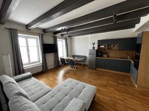 uma sala de estar com um sofá e uma mesa em Rezidence u Vaňkovky em Brno