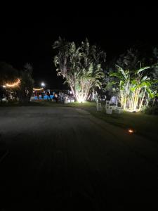 un parc de nuit avec des palmiers et des lumières dans l'établissement PROJEKT X, à Villasmundo