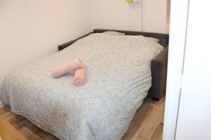 een bed met een roze voorwerp erop bij Studio cosy et chaleureux in Royat