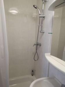 a bathroom with a shower and a toilet and a sink at Ferienwohnung Am Wald in Michendorf