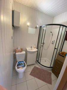 a bathroom with a shower and a toilet and a sink at Domek letniskowy in Skępe