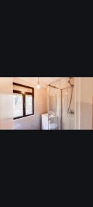 La salle de bains est pourvue d'un lavabo, d'une douche et d'un miroir. dans l'établissement MarinhoHouse, à Porto