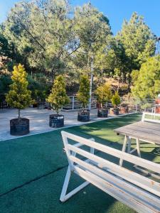 ein Picknicktisch und Bäume in einem Park in der Unterkunft Luna & Sol 2BHK in Kasauli + 35 Fotos