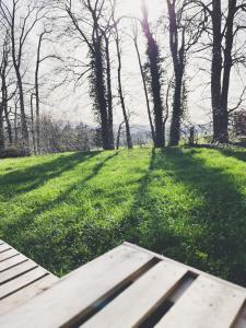 une table de pique-nique dans un champ d'herbe planté d'arbres dans l'établissement Mächlerhof, 
