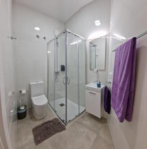y baño con ducha de cristal y aseo. en Barcelona, apartamento de 1 habitación en Hospitalet de Llobregat