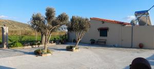 two trees in a courtyard next to a building at ΤΟ ΕΞΟΧΙΚΟ in Thános