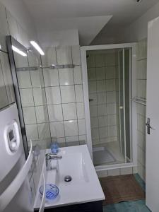 La salle de bains blanche est pourvue d'une douche et d'un lavabo. dans l'établissement APPARTEMENT BEAU SOLEIL, à La Bâtie-Neuve