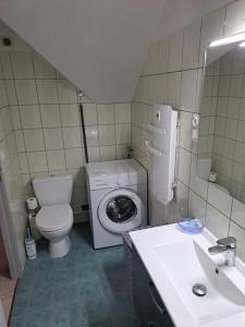 une petite salle de bains avec toilettes et lave-linge. dans l'établissement APPARTEMENT BEAU SOLEIL, à La Bâtie-Neuve
