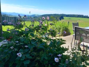 a garden of flowers with a view of a field at Haus Loks in Sankt Märgen