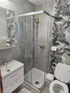 a bathroom with a shower with a toilet and a sink at Hotel Tabor in Sežana