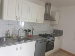 a kitchen with white cabinets and a sink at Duplex de standing in Anzin +3 photos