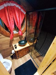 an overhead view of a bathroom with a shower and a sink at SudoLand Orava in Oravská Lesná