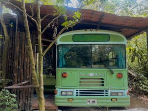 Fotografie z fotogalerie ubytování Ficus Wonders Bus v destinaci Monteverde Costa Rica