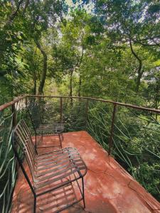 Fotografie z fotogalerie ubytování Ficus Wonders Bus v destinaci Monteverde Costa Rica