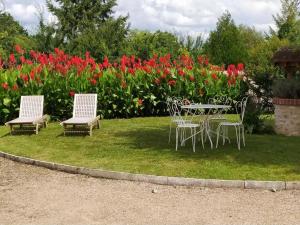 Dārzs pie naktsmītnes Gîte Mont-prés-Chambord, 4 pièces, 6 personnes - FR-1-491-59